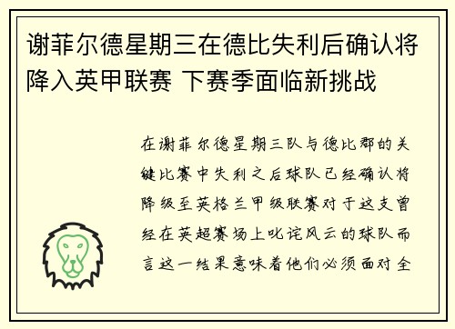 谢菲尔德星期三在德比失利后确认将降入英甲联赛 下赛季面临新挑战