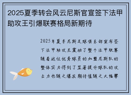 2025夏季转会风云尼斯官宣签下法甲助攻王引爆联赛格局新期待
